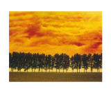 Buy Afterglow I at AllPosters.com