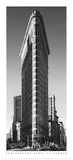 Flatiron Building Art Print