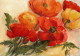 Buy Splendid Poppies at AllPosters.com
