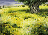 Buy Sommerbaum at AllPosters.com