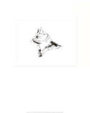 The Cat Art Print
