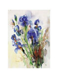 Buy Iris at AllPosters.com