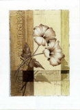 Buy Malva at AllPosters.com