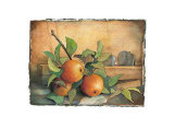 Buy Apfel at AllPosters.com