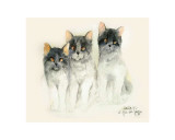 Buy Katzen at AllPosters.com