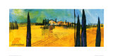 Near by San Gimignano