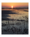 Bush Bay Sunset