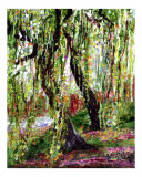 Buy Weeping Willow at AllPosters.com