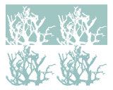 Buy Seafoam Coral print at AllPosters.com