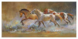 Buy Colors in the Dust at AllPosters.com