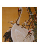 Japanese Cranes II