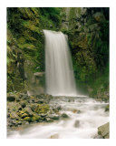 Buy Mt.Rainier Waterfall at AllPosters.com