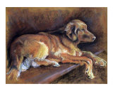 Buy A Little Tired at AllPosters.com