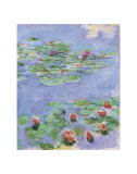 Water Lilies, c. 1914-1917