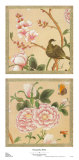 Buy Chiang Mai at AllPosters.com