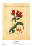 Buy Counterpointe I at AllPosters.com