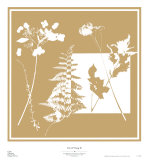 Buy Yin and Yang II at AllPosters.com