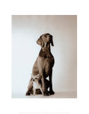 Max and Roxie