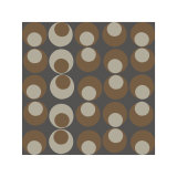 Buy Soloy at AllPosters.com