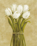 Buy White Tulips in String at AllPosters.com
