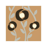 Fiori Apricot