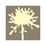 Buy Pomponette Butterscotch at AllPosters.com