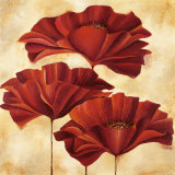 Three Poppies II