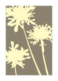 Buy Pompom Brule at AllPosters.com