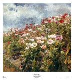 Buy Seaside Poppies at AllPosters.com