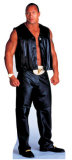 Buy The Rock at AllPosters.com