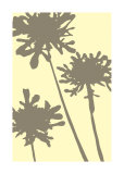 Buy Pompom Brule at AllPosters.com