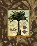 Buy Date Palm at AllPosters.com