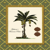 Buy Ghiberie's Banana Palm at AllPosters.com