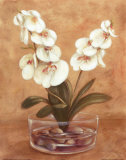 Red and White Flowers in Bowl
