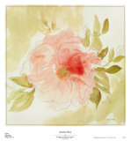 Stardust Peony
