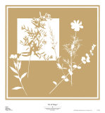 Buy Yin and Yang I at AllPosters.com