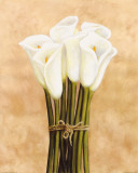 Buy White Cala Lilies in String at AllPosters.com