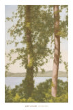 Buy Riverview, 2005 at AllPosters.com