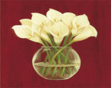 White Cala Lilies in Vase