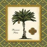 Buy Banana Palm at AllPosters.com