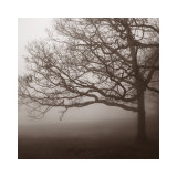 Silence
