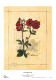 Buy Counterpointe IV at AllPosters.com