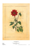 Buy Counterpointe II at AllPosters.com