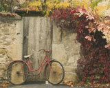 Red Bike Near Door