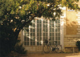 Bicycle Near Lilinita