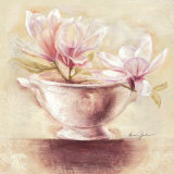 Cup of Dainty Magnolias