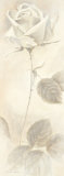 Buy Armonia con Cuore at AllPosters.com