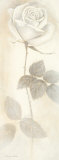 Buy Armonia con Sentimento at AllPosters.com