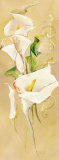 Buy Magnifique at AllPosters.com