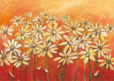 Flower Meadow